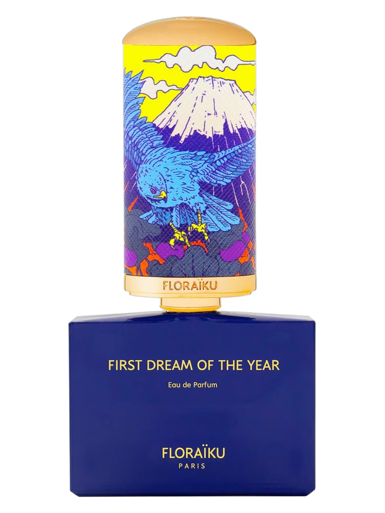 FIRST DREAM OF THE YEAR