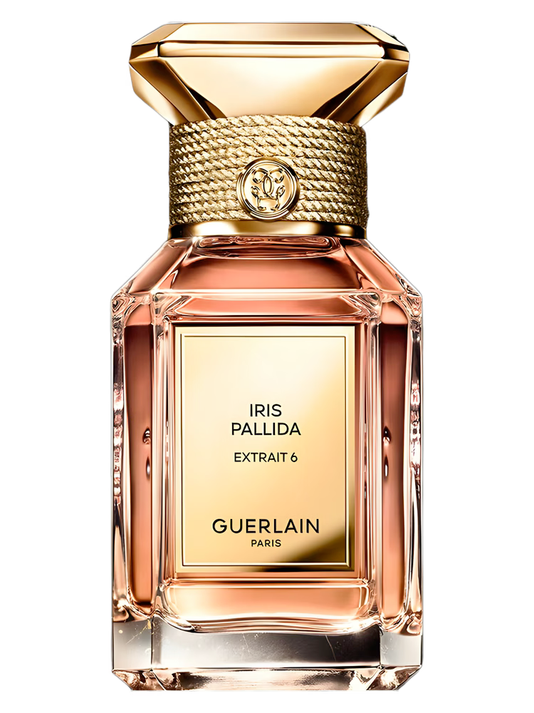IRIS PALLIDA EXTRAIT 6