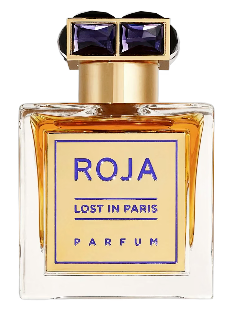 LOST IN PARIS