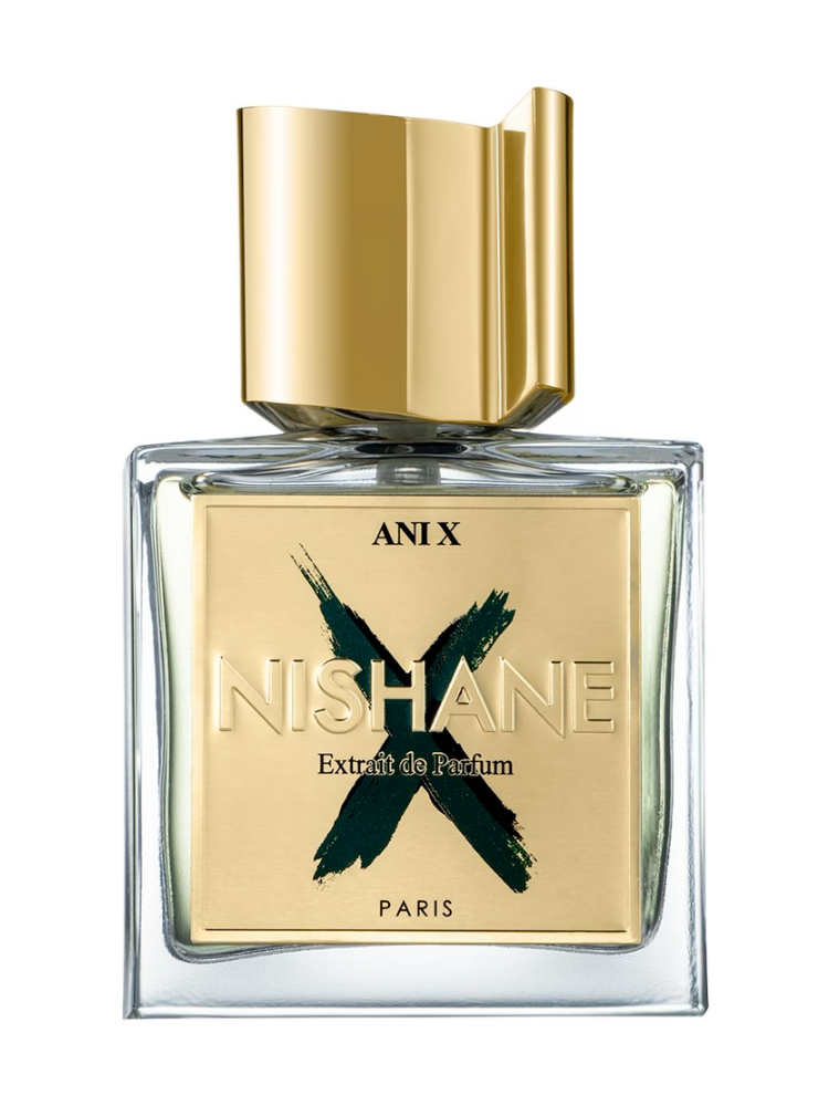 ANI X