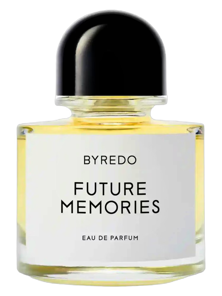 FUTURE MEMORIES